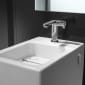 Image of Roca W+W Combined Washbasin & Toilet