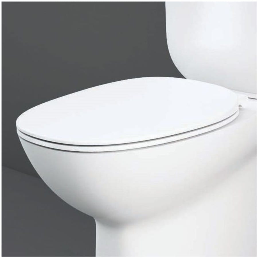 Rak toilets new arrivals