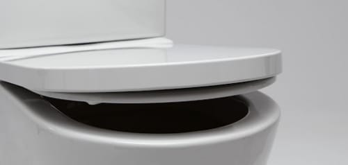 Picture of a Roca toilet seat