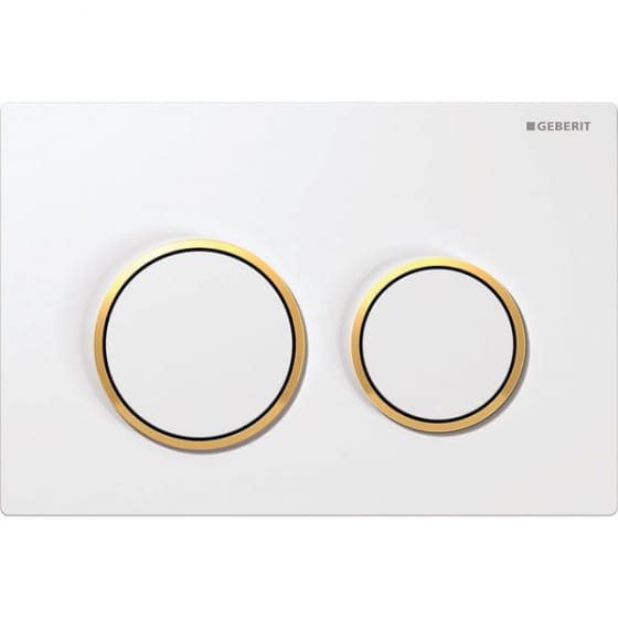 Image of Geberit Omega20 Dual Flush Plate