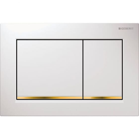 Image of Geberit Omega30 Dual Flush Plate