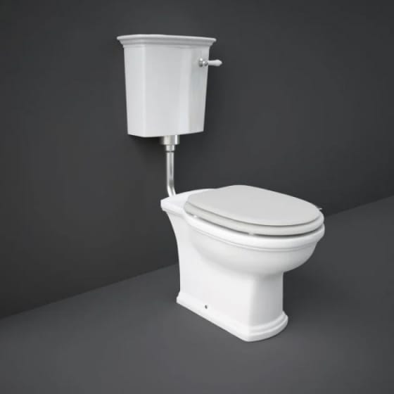 Image of RAK Washington Low/High Level Toilet