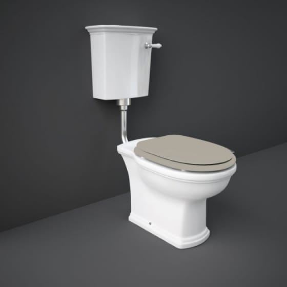 Image of RAK Washington Low/High Level Toilet