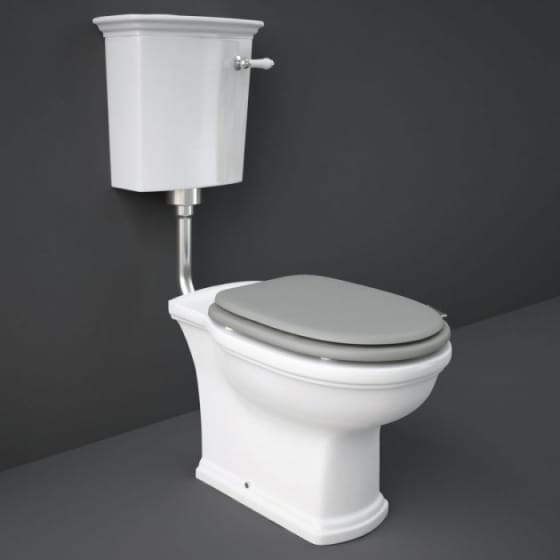 Image of RAK Washington Low/High Level Toilet