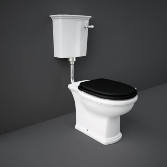 Image of RAK Washington Low/High Level Toilet