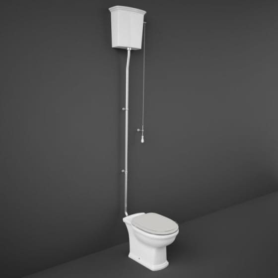 Image of RAK Washington Low/High Level Toilet