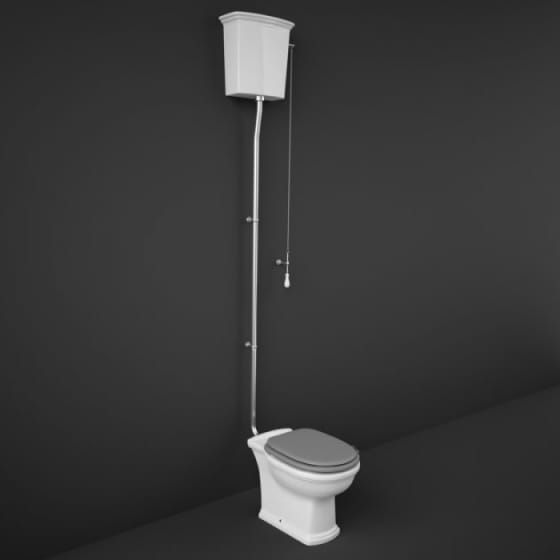 Image of RAK Washington Low/High Level Toilet