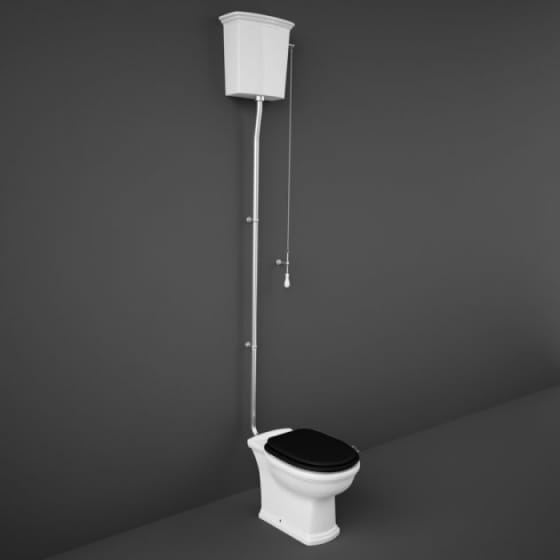 Image of RAK Washington Low/High Level Toilet