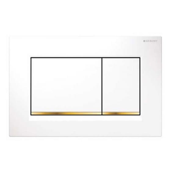 Image of Geberit Sigma30 Dual Flush Plate