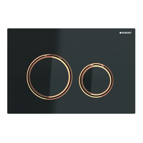 Image of Geberit Sigma21 Dual Flush Plate