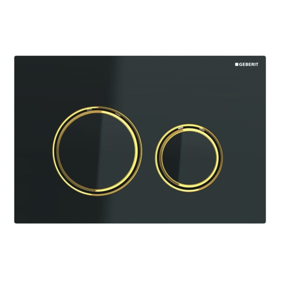 Image of Geberit Sigma21 Dual Flush Plate