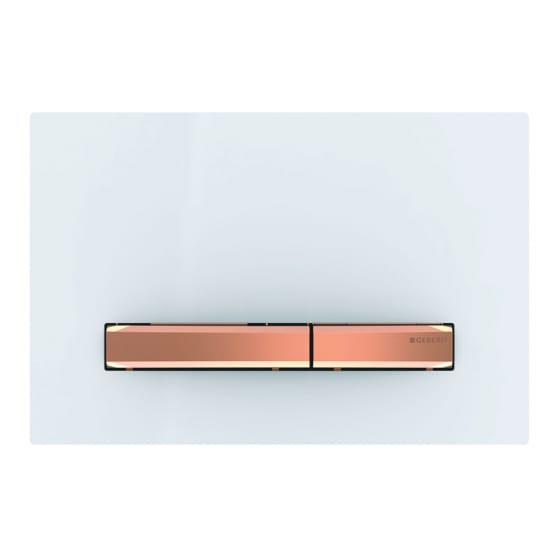 Image of Geberit Sigma50 Dual Flush Plate