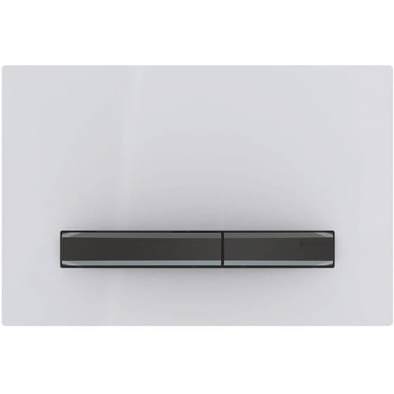 Image of Geberit Sigma50 Dual Flush Plate