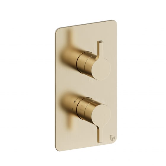 Image of Britton: Hoxton 2.0 Shower Mixer with Concealed Valve