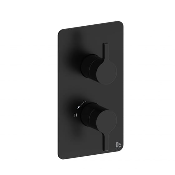 Image of Britton: Hoxton 2.0 Shower Mixer with Diverter and Concealed Valve
