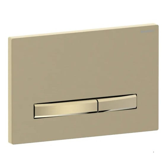 Image of Geberit Sigma50 Dual Flush Plate