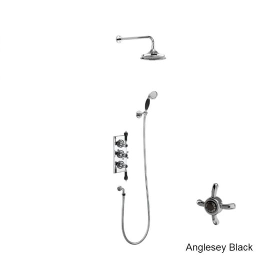 Image of Burlington Trent Dual Outlet Thermostatic Shower Valve With Shower Head & Handset