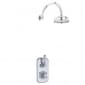 Image of BC Designs Victrion Arch Shower Arm