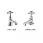 Image of Bayswater Basin Pillar Taps