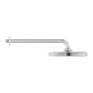 Image of Grohe Tempesta 250 Shower Head