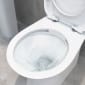 Image of BTL Sandro Close Coupled Rimless Toilet
