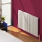 Image of Reina Bonera Horizontal Steel Radiator