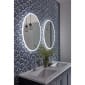 Image of Tavistock Aster Oval LED Mirror