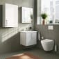 Image of VitrA: Root Flat Wall-hung Vanity Unit with Doors and Washbasin (60cm)