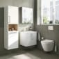 Image of VitrA: Root Flat Wall-hung Tall Cabinet Unit with Doors and Laundry Basket (400mm)