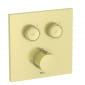 Image of T-3000 Wall-mounted Built-in Square Thermostatic Shower Mixer Valve (2-Way)